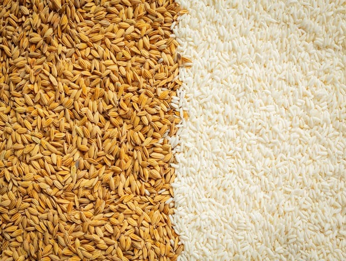 ब्राउन राइस या सफेद चावल में कौन सा स्वास्थ्यवर्धक है
